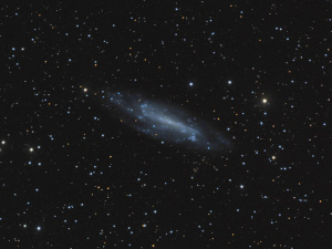NGC4236
